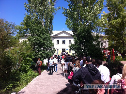 Подборка фото с референдума