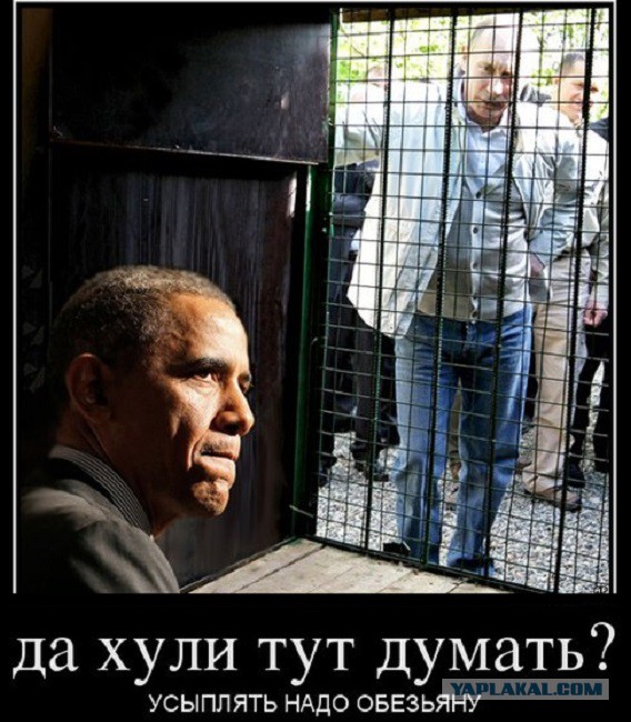 Обама "разрешил" Путину вернуть Украину