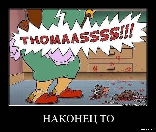 Немного смешных картинок из сети