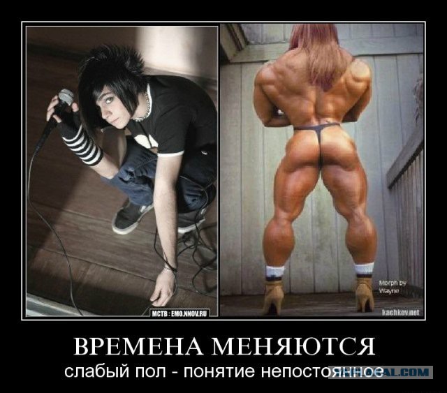 Втащила так втащила.