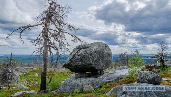 Хочу в Россию.