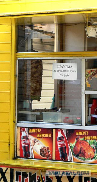 Прикольные картинки.