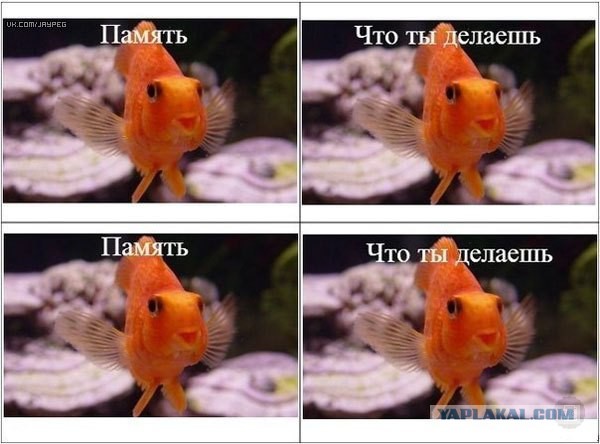 Всякая хренотень