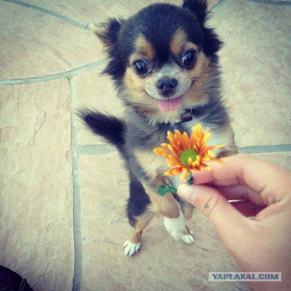 Супер фотографии