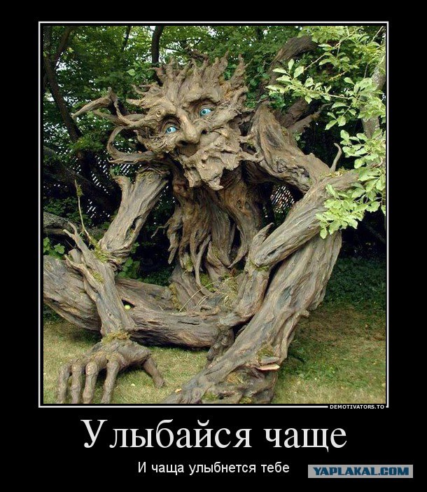 Демотиваторы дня
