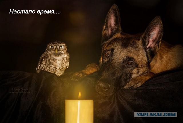 Вопрос на миллион