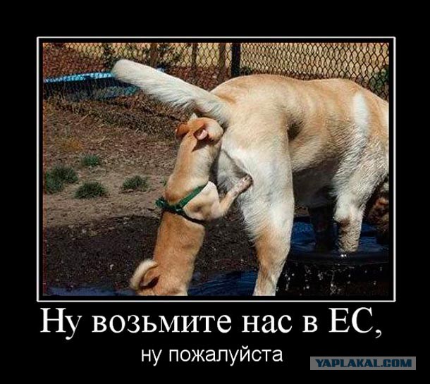 25 украинских городов получат новые названия