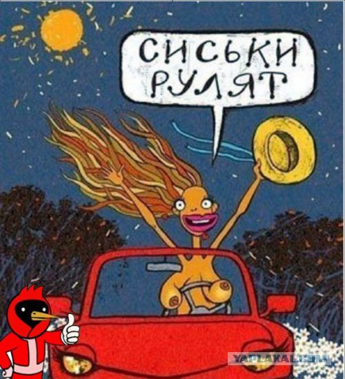Научные проблемы доступности Сисек