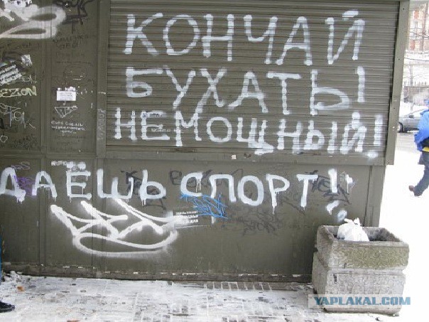 34 правдивых надписей на стенах