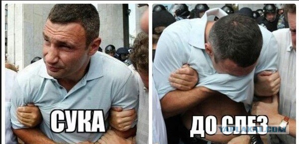 Дам – не дам!