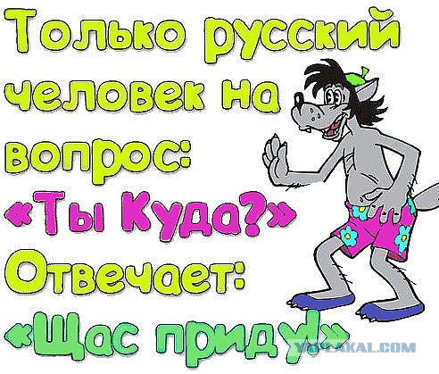 Плюшкиным посвящается