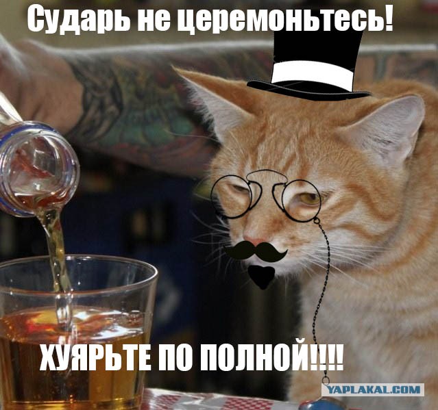 Смешные картинки