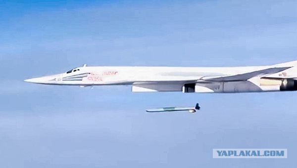 Исчезающая собака