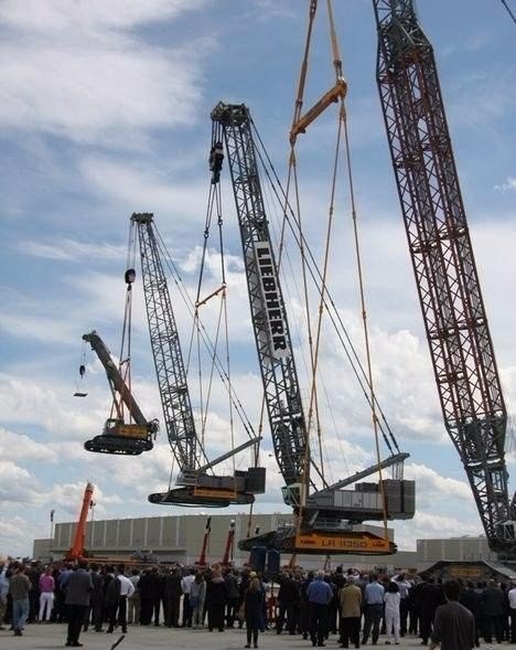 Подборка интересных и веселых картинок