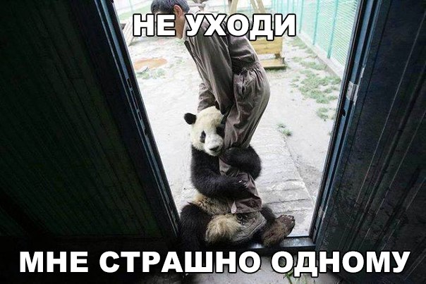 Мохнатые беспредельщики