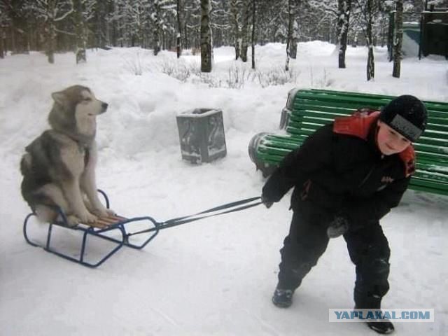 Подборка интересных и веселых картинок