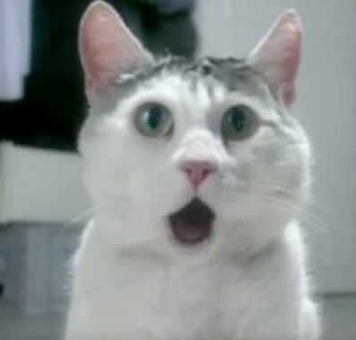 Купил коту вкусняшку в Пятерочке