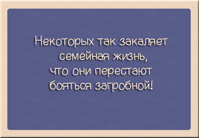 8108762.jpg