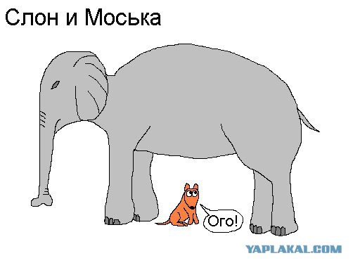 Феминистки взбесились: "Эй, Путин. Мы не только голосуем, мы еще убиваем русских"