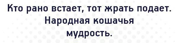 Очередная порция веселых комментов из соцсетей.