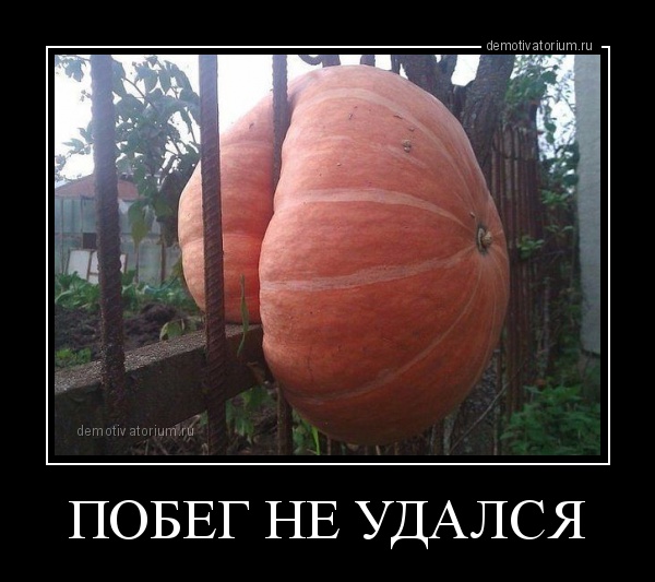 Картинки в черных рамках с подписями
