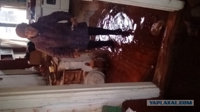 Жесть!Бабушка 77 лет вынуждена спать в хлеву из-за того,что ее жилье не признано аварийным!