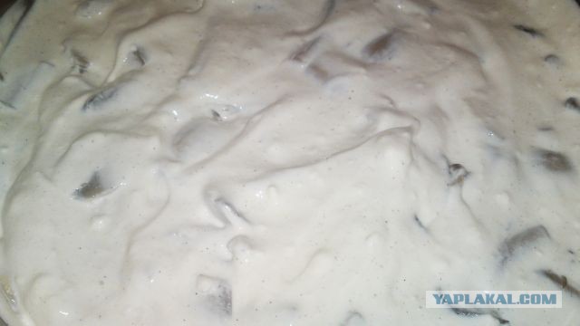 International одной книги., В память о Дженибеке.