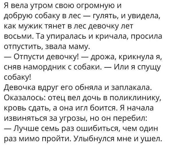 Субботняя порция перлов, высказываний, котоламповых историй