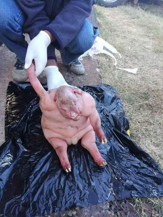 Офисный эксперимент