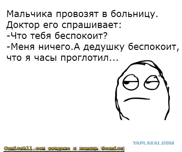 Жёваного ёжика принёс, ёжика откачали, колючки из пасти вытащили