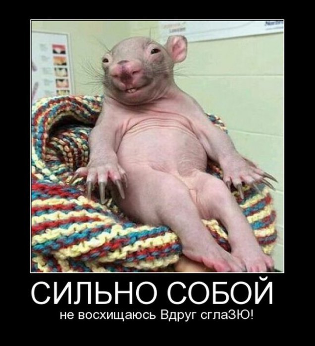 Тёмный юмор к этим выходным
