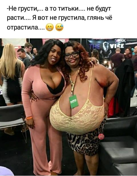 Подборка интересных и веселых картинок