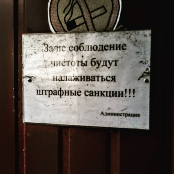 Поколение ЕГЭ