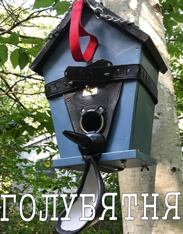 Прикольные картинки с надписями