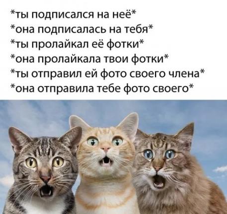 Белиссиммо