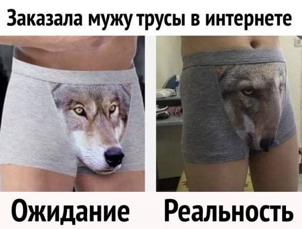 Картинки с надписями и анекдоты