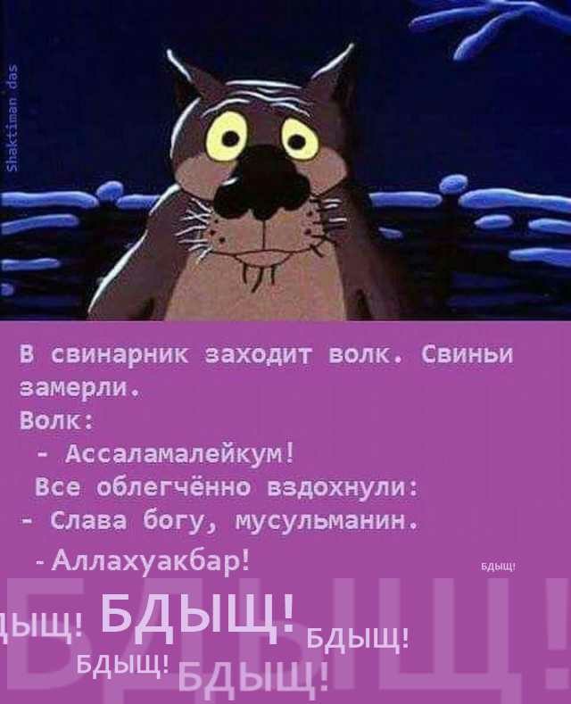 Кретинки 12.01.20