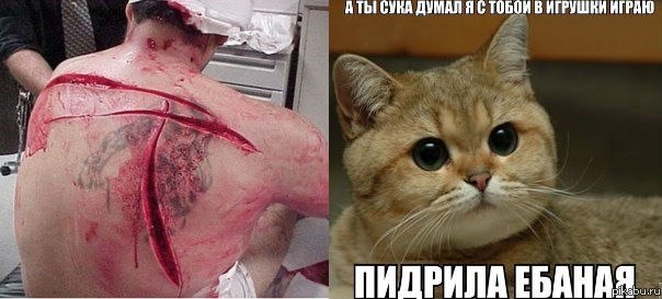 Хорошая реакция