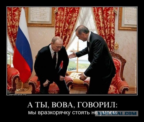 Любовь к экологии выходит на новый уровень