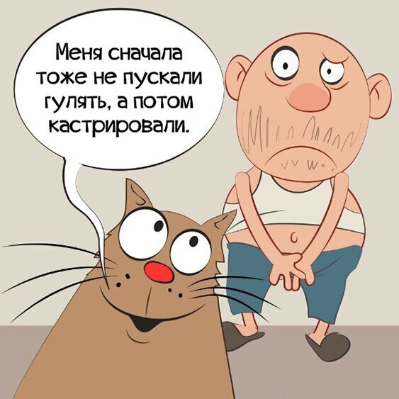 Пара-пара-пам! Фьють!