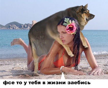 Фотожаба: О чем же думает собака?....