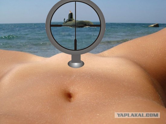 Ракушка и море
