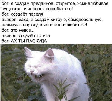 Так себе картинки 01.07.20