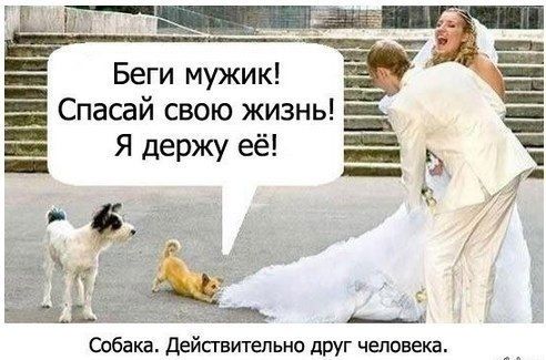 Так себе картинки 29.07.20