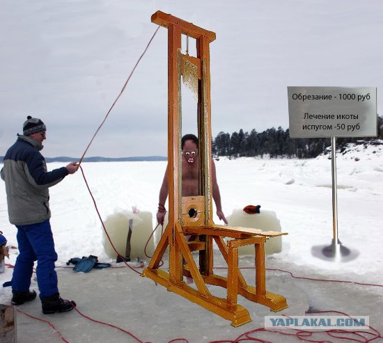 На живца