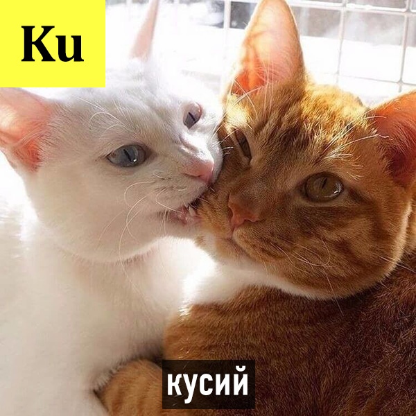 Периодическая система кото-элементов