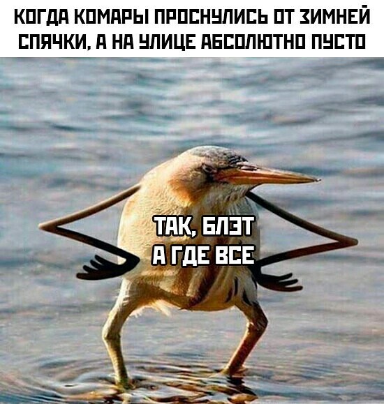 Боянистые картинки 17.12.20
