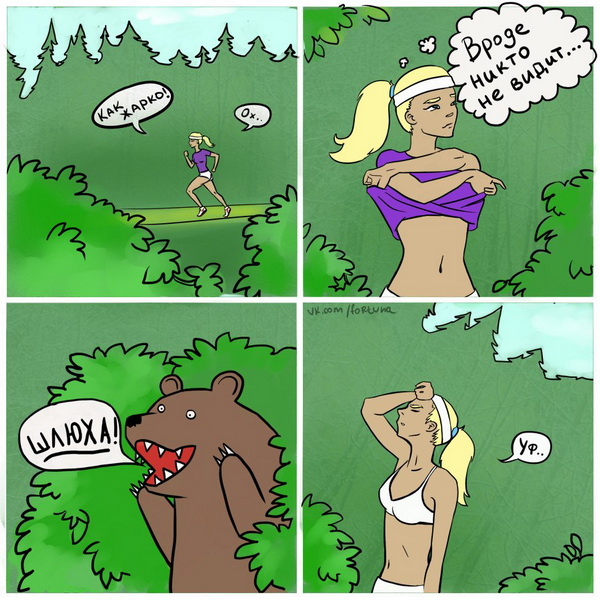 Закон- тайга, медведь за прокурора!