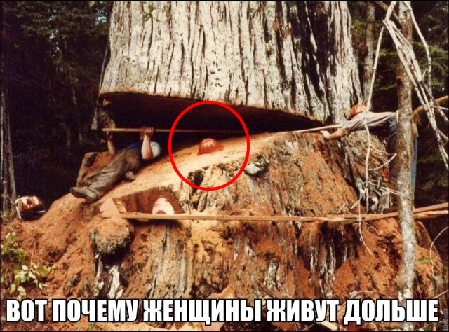 Так себе картинки 12.02.21