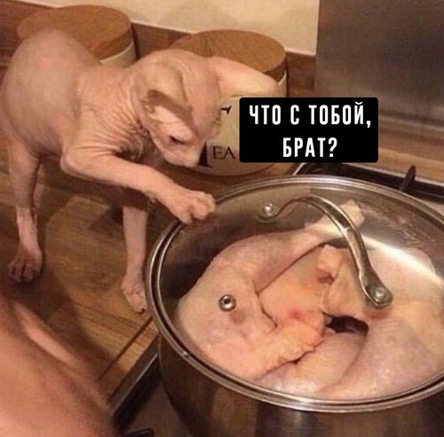 Как правильно готовить суп